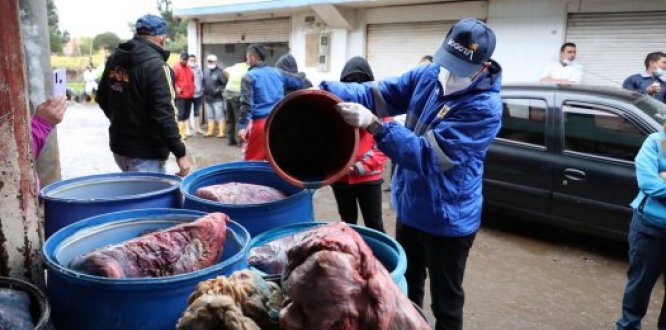 Más de seis toneladas de productos cárnicos no aptos para el consumo humano fueron desnaturalizados en Guadalupe, Kennedy