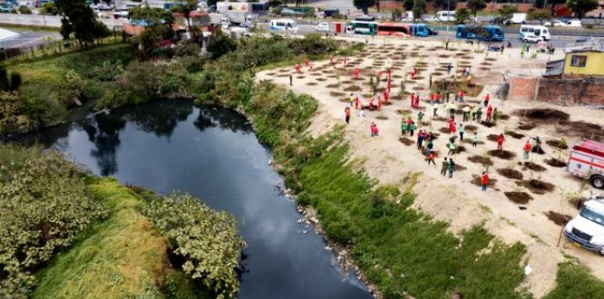 Nuevo comienzo para Guadalupe: reverdece complejo sector de Bogotá
