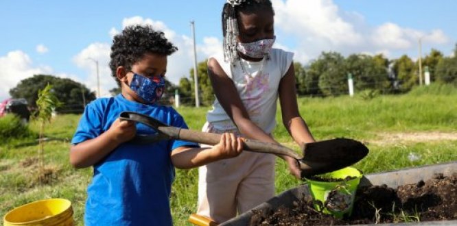 Más de 50 árboles fueron plantados en Tingua Azul por niños de Kennedy