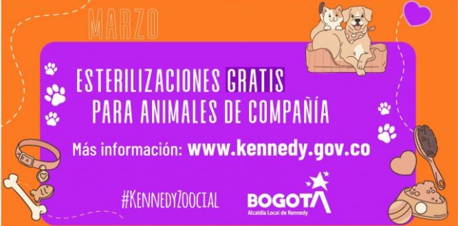 La Alcaldía Local de Kennedy tiene 720 cupos para esterilización de animales de compañía en marzo