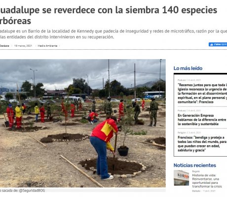 Guadalupe se reverdece con la siembra 140 especies arbóreas